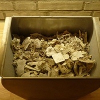 Utbrente benrester